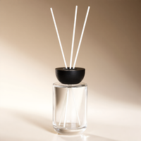 Bouteilles diffuseurs en verre transparent sans plomb personnalisées en usine, 50 ml, 300 ml, récipients d'aromathérapie de luxe, acceptent la personnalisation du logo et de la couleur.