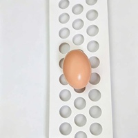 Bande transporteuse perforée en PP haute résistance pour œufs, 100 mm de large, 1,2 mm d'épaisseur, pour cages de poules pondeuses et systèmes de transport d'œufs en élevages avicoles