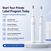 Brosse à dents sonique Luxsmile OEM personnalisée, professionnelle, électrique, puissante, rechargeable, blanchissante, pour éliminer la plaque dentaire