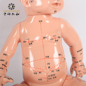 Acupunctuurpuntmodel voor baby's met Engelse en Chinese identificatie en moxibustie-simulatie - Product Image 3