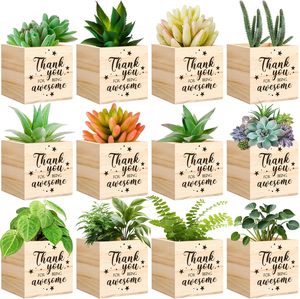 12 macetas cuadradas de <span class=keywords><strong>madera</strong></span>. Adecuado para pequeñas plantas suculentas en <span class=keywords><strong>madera</strong></span>. Ideal para enfermeras, trabajadores de oficina y profesores. - Product Image 1