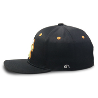 Casquette Snapback Brodée Délicate avec Broderie Latérale, Légère, Couleur Unie, Style Hip-hop Décontracté pour Jeunes