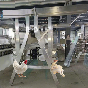 <span class=keywords><strong>Plumeuse</strong></span> à volaille électrique commerciale motorisée haute productivité Guangzhou 1000 plumes/heure - Product Image 1