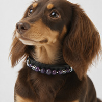 Collier pour animaux de compagnie fait main en cristaux naturels de guérison, bijoux multicolores en pierres précieuses pour chiens et chats, collier énergétique et bien-être pour animaux, breloque en cristal