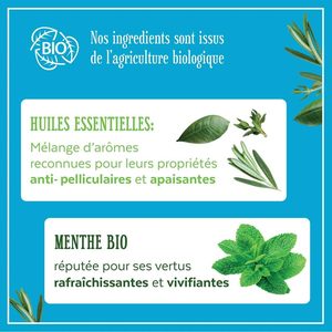 Le Petit Marseillais Shampoing Antichute à l'Huile Essentielle de Menthe pH Équilibré Sans Silicone Liquide - Product Image 3
