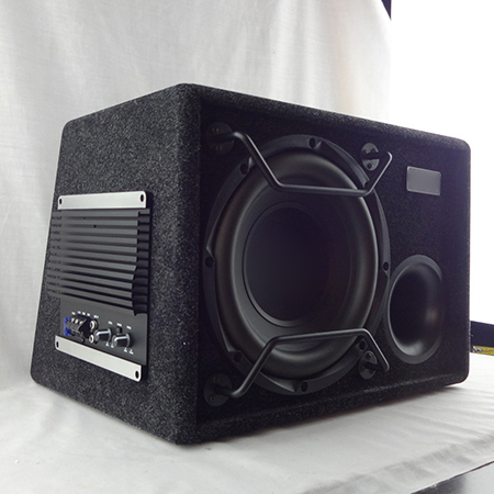 New Product for Car Stereo with Amplifier 10 Inch Car Audio Amplifier Subwoofer Speaker Overload Protection 350W