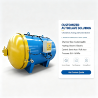 Autoclave de vulcanisation de caoutchouc Holsten avec cuve en acier inoxydable, contrôle entièrement automatique, système de barrage en caoutchouc gonflable