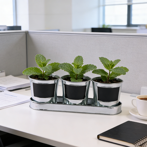 Ensemble de 3 pots de fleurs modernes en fer galvanisé <span class=keywords><strong>avec</strong></span> étiquettes en craie noire, jardinières résistantes à la rouille <span class=keywords><strong>avec</strong></span> plateau pour bureau intérieur - Product Image 3