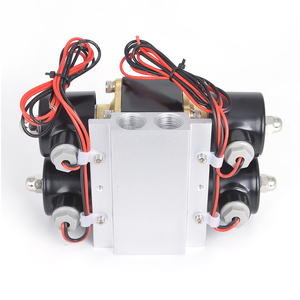 Válvula Solenoide de Colector de Doble Estación para Suspensión Neumática de Automóviles, Universal, DC12V, 200PSI, 4 - Product Image 5