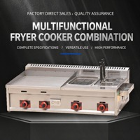 Grill multifonctionnel à gaz GPL et friteuse professionnelle pour snacks – Offre spéciale