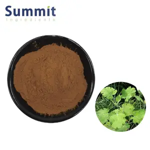 Wholesale High Quality 20:1 Macleaya Cordata Extract Powder Macleaya Cordata Extract