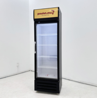 Réfrigérateur-congélateur vertical commercial avec porte vitrée à refroidissement par air, réfrigérateur de présentation pour boissons gazeuses, pour usage hôtelier
