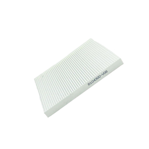 Filtres d'habitacle d'automobile personnalisés de haute qualité vente chaude 8104300-V08 G3010-AG100 08974-00830 pour les voitures - Product Image 2
