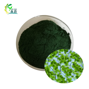 Grand approvisionnement en poudre de <span class=keywords><strong>chlorella</strong></span> de haute qualité <span class=keywords><strong>Chlorella</strong></span> Vulgaris poudre 50% protéines - Product Image 1