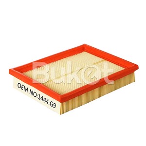 Nuovo Filtro Aria 1444.G9 per Peugeot 206 1.4/1.6 e Modelli <span class=keywords><strong>Opel</strong></span> Certificato ISO/TS16949 - Product Image 2