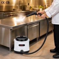 Nettoyeur de taches professionnel portable CE haute performance léger pour tissus, utilisation humide et sèche, aspirateur vapeur pour tapis