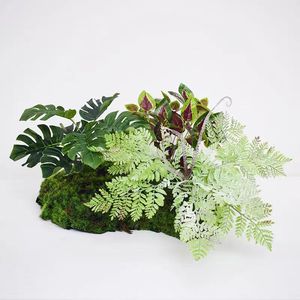 Muschio Artificiale per Decorazione Interna, <span class=keywords><strong>Prato</strong></span> Sintetico per Soggiorno, Paesaggistica in Miniatura 60cm/160cm 3.0kg - Product Image 3