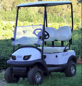 Carrito de Golf Mini de 2 Plazas en Oferta, Precio de Fábrica, Carrito de Golf Mini para Club - Product Image 2