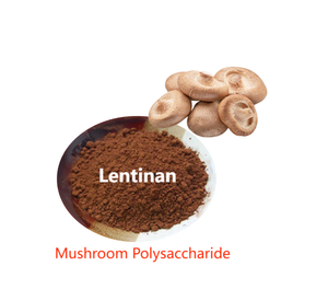 <span class=keywords><strong>Ahcc</strong></span> Supplément de champignon en poudre en vrac <span class=keywords><strong>Shiitake</strong></span> 100% Pure Private Label Mycelia Shitake Extract - Product Image 3