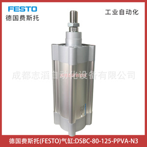 Cilindro Neumático Festo DSBC-80-125-PPVA-N3, Tipo de Pistón de Aluminio Estándar, Automatización Industrial - Product Image 3