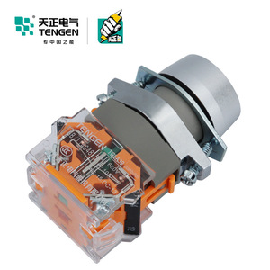 Tengen TGLA39 <b>Push</b> <b>Button</b> <b>Switch</b> Silver Dot Self-resetting Start Stop IP40 - Product Image 3