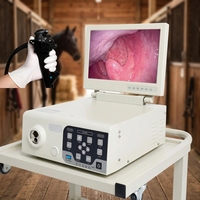 Gastroscopie flexible de 3 mètres pour le dépistage des ulcères gastriques et des coliques chez les chevaux – Clinique vétérinaire pour grands animaux