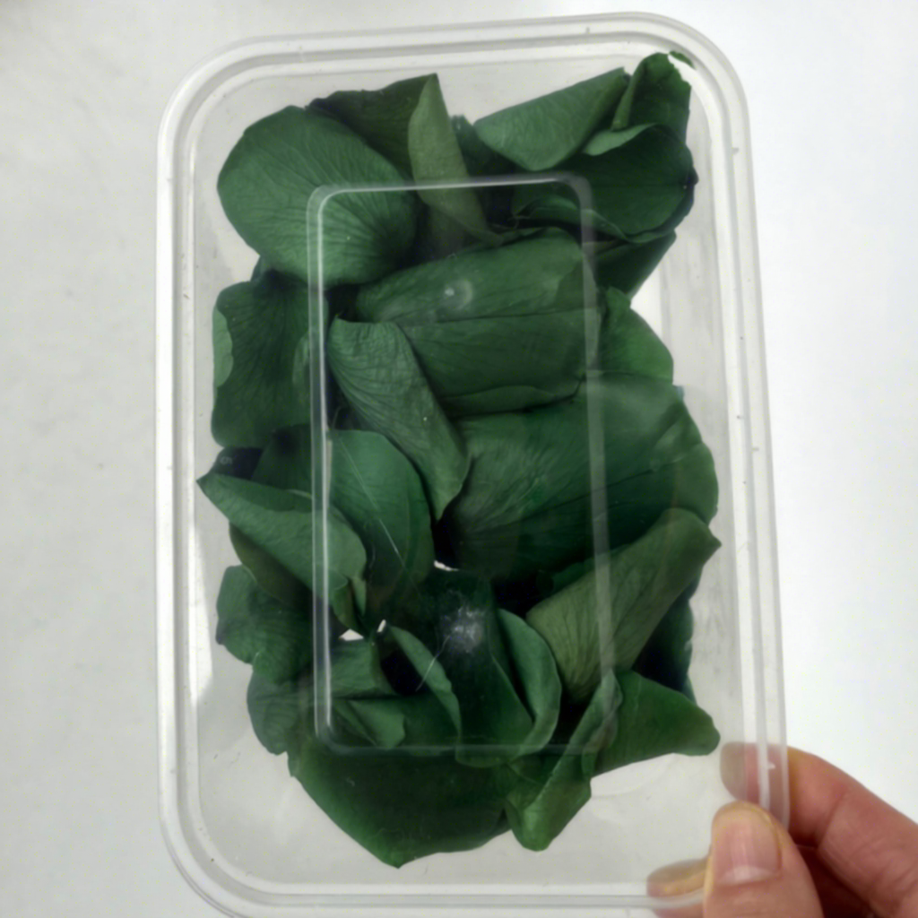 Menta