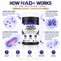 Complément Alimentaire Anti-Âge OEM : Capsules de Complexe Longévité NAD+ NR Resvératrol Quercétine Fisétine CoQ10 Marque Blanche