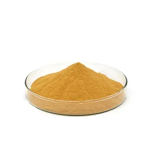 High Quality Rosemary Rosmarinic Acid Powder 35% Herbal Lemon Balm Extract 10% Rosmarinic Acid