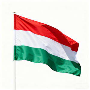 Оптовые индивидуальные национальные флаги различных стран, рекламные флаги компании, Спортивные Флаги, наружные флаги для фестивалей - Product Image 4