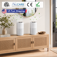 Pembersih Udara Portable True HEPA Penghilang Bau Bulu Hewan Peliharaan Pilihan Distributor untuk Meja Asrama, Hadiah Retail dengan OEM ODM CE RoHS FCC