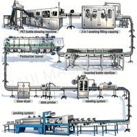 CE-gecertificeerde automatische 10000BPH machine voor het warmvullen van geconcentreerd fruit sap, productielijn, 2 jaar garantie