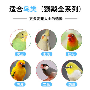 Juguete de Entrenamiento para Loros, Plataforma de Madera para Pájaros, Suministros Ecológicos para Mascotas - Product Image 4