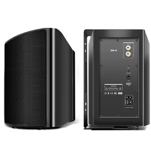 Không dây wifi5g màu xanh tooth5.4 Multiroom hoạt động treo tường loa với Bộ khuếch đại âm thanh cho rạp hát tại nhà hệ thống thương mại - Product Image 4