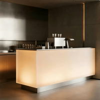 Maßgefertigte Mattierte LED-Beleuchtete Acryl-Kücheninsel mit Dunkler Steinoptik-Arbeitsplatte, Individuelle Hausbar für Wabi-Sabi Wohnküchen
