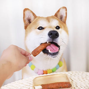 חם מוכר מזון לחיות מחמד מזון מזון מזון כלבים סיטוני להסיר נקניק רע מהפה נקניקיות עם מקל חתול כלב סיבים - Product Image 1
