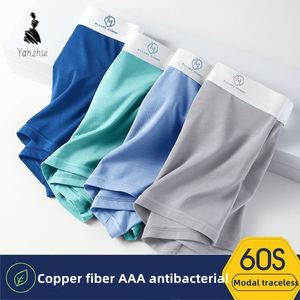 OEM/ODM Comodi Slip <span class=keywords><strong>Boxer</strong></span> in Modal con Ioni di Rame, Intimo Maschile con Zona Intima in Ioni di Rame - Product Image 2