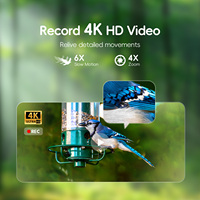 Willfine BK800, Observación Inteligente de Aves con Cámara 4K, Reconocimiento de Especies de Aves por IA