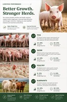 Agent de Fermentation pour Farine de Palmiste Fermentée – Remplace la Farine de Maïs et de Soja – Réduit les Coûts d'Alimentation – Source d'Énergie – Soulage l'Entérite