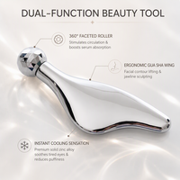 Masseur facial en forme d'aile, rouleau à facettes en alliage de zinc, outil pour le contour des yeux, finition miroir, logo personnalisé, vente en gros