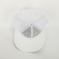 Casquettes de baseball unisexe imperméables à large bord effet vieilli, personnalisables avec logo imprimé et broderie de lettres, style sportif, protection solaire, en tissu éponge quatre fils, vente en gros