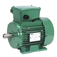 Moteur électrique triphasé Leroy Somer avec frein 1HP 2HP 3HP 4HP 5HP 10HP 20HP 30HP 40HP 2p 4p 6p 8p
