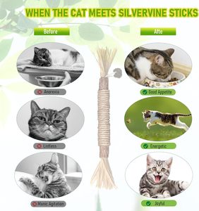 Jouet pour chat en forme de boule en fruits de Polygonum Multiflorum et de raphia Sinensis avec bâtonnet à mordre pour le jeu et l'exercice des molaires - Product Image 5