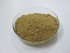 Sport Nutrizione Integratore Beta <span class=keywords><strong>Ecdysterone</strong></span> In Polvere - Product Image 3