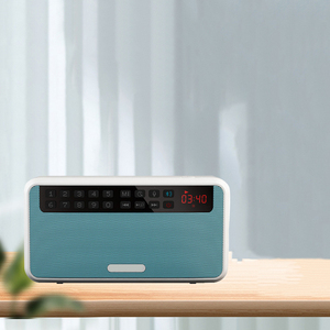 Édition Commerce Extérieur pour Haut-parleur avec Boîtier en Plastique Radio FM Numérique Portable - Product Image 4