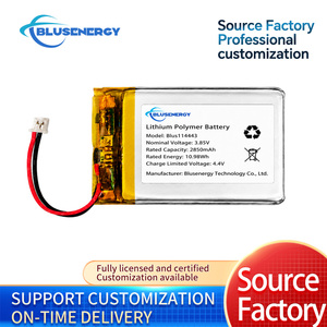 Blusenergy 114463แบตเตอรี่ลิเธียมโพลิเมอร์แบบชาร์จไฟได้3.85V 2850mAh พร้อมขั้วต่อสาย JST - Product Image 4