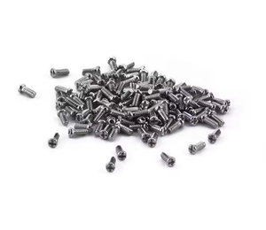<span class=keywords><strong>Tornillos</strong></span> de Acero Inoxidable con Cabeza Cruzada de Fácil Uso <span class=keywords><strong>para</strong></span> Almohadillas Nasales, Accesorios Esenciales <span class=keywords><strong>para</strong></span> Piezas de <span class=keywords><strong>Gafas</strong></span> - Product Image 3