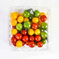 Boîte d'emballage en plastique PET grande capacité pour fruits, légumes, conteneur alimentaire, barquettes à fraises pour supermarché