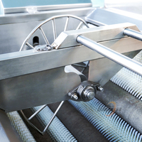 Borstelrol 500kg/u wortelschilmachine voor fruit & groenten multifunctionele aardappelwas- en schilmachine