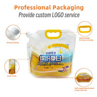 Sac de buse en plastique Transparent de qualité alimentaire personnalisé 2l 3l 5l bière jus huile boisson eau liquide emballage pochette de bec avec robinet